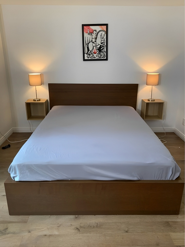 IKEA Malm Queen size bed frame with mattress - Brown